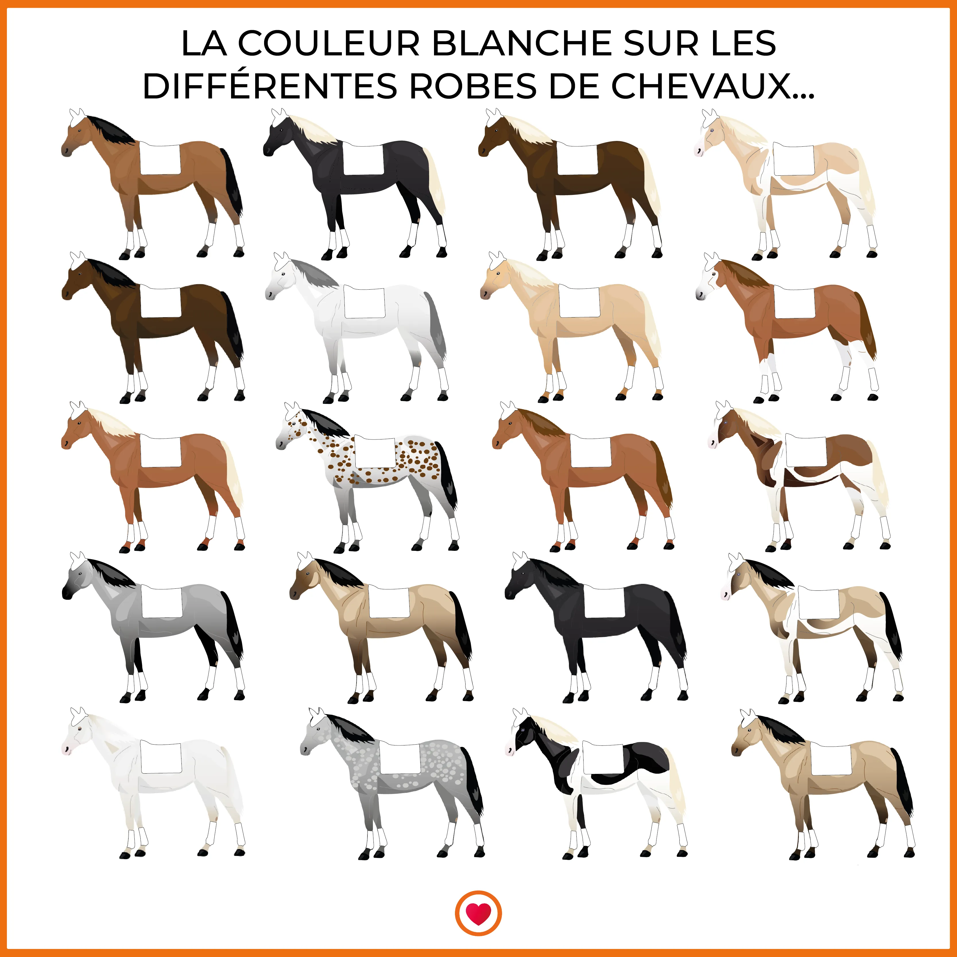 Back On Track - Tapis de dressage blanc