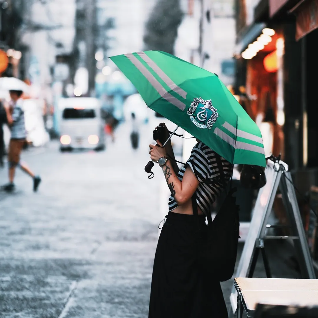 Parapluie Serpentard